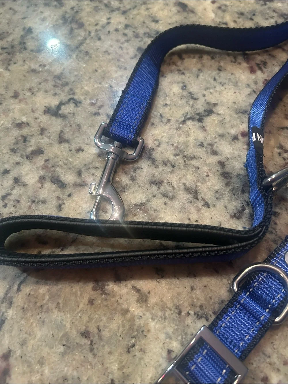 Blue LED Flash Reflective Dog Collar & Leash